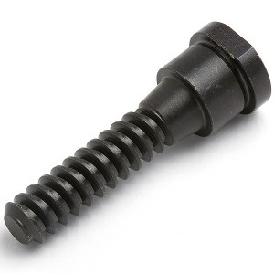 A woodworm screw.
