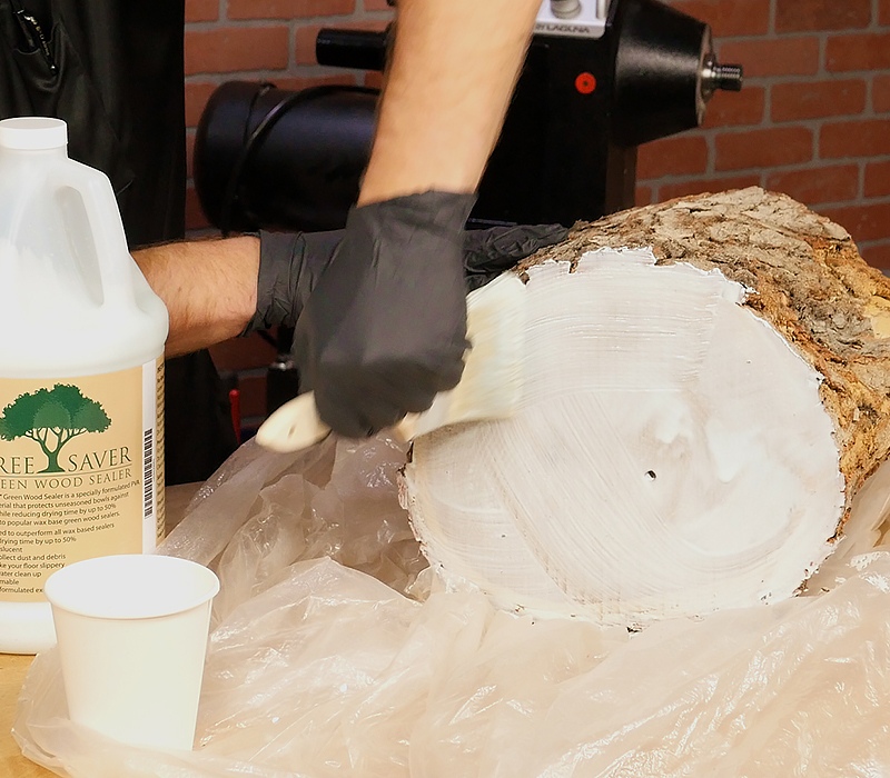 Applying Tree Saver to the end of a log with a paint brush.