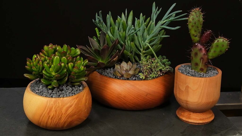 turning a succulent planter
